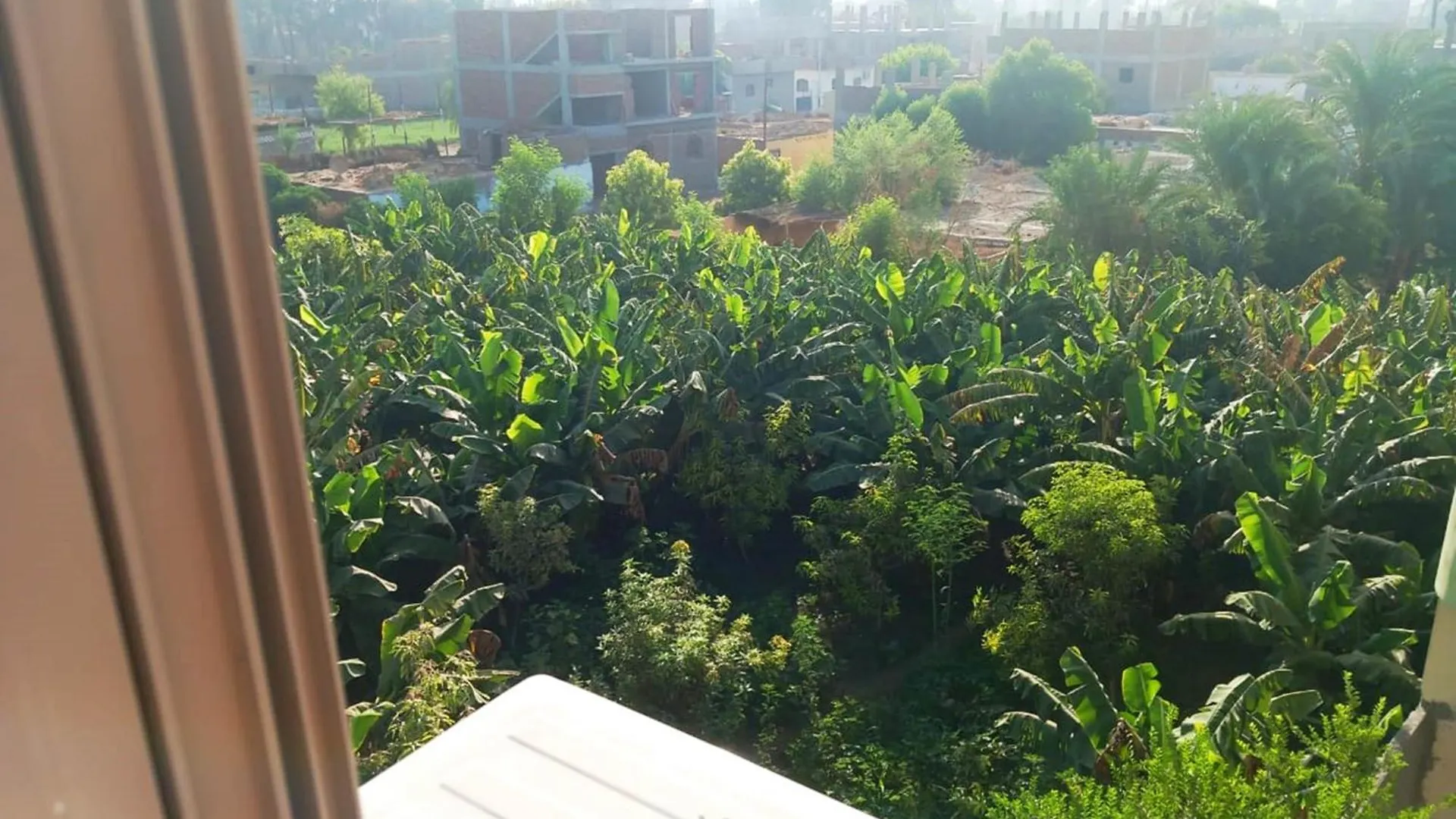Otel Luxor View Hostel